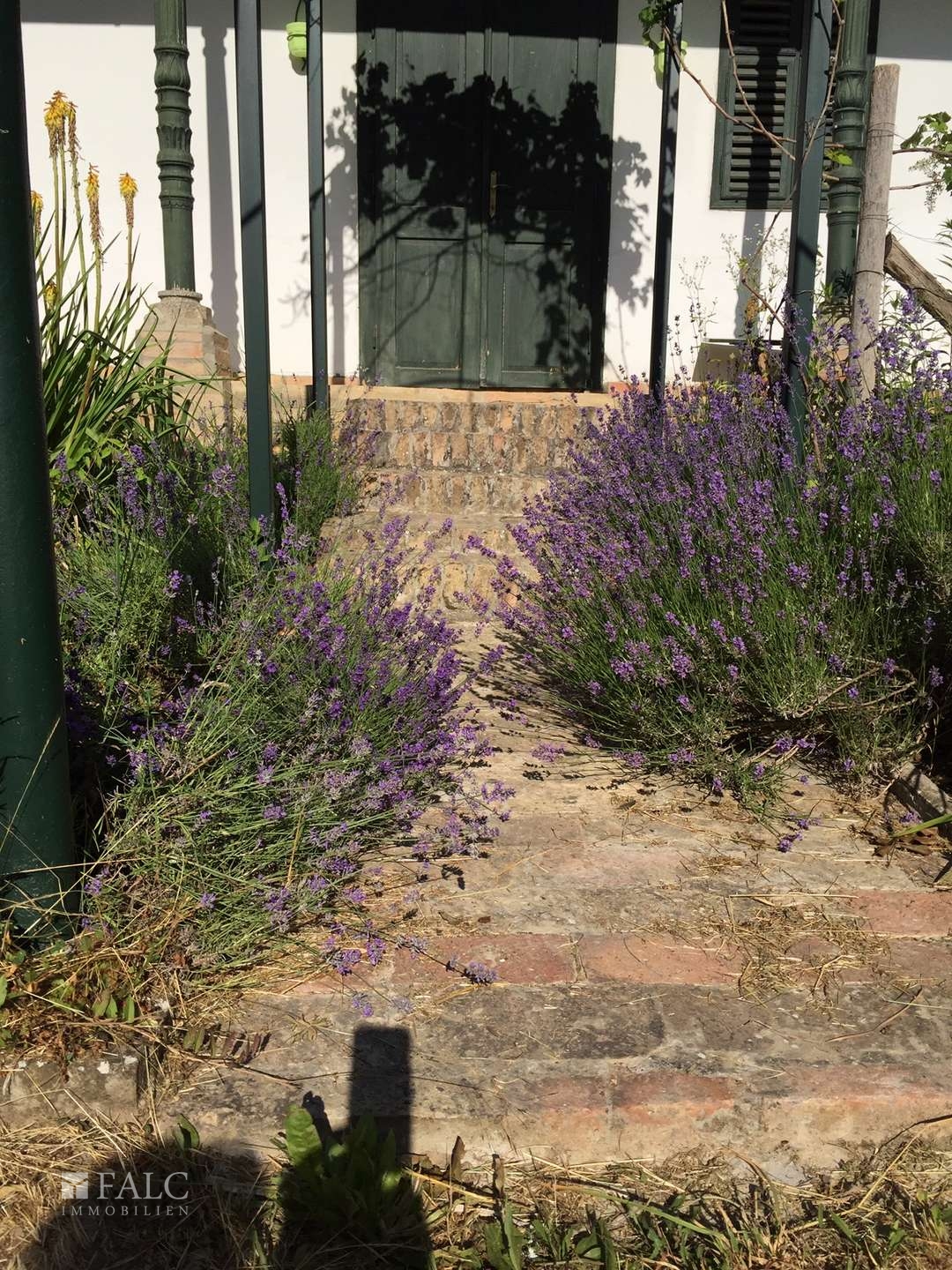 Garden - entrance to Suite unit